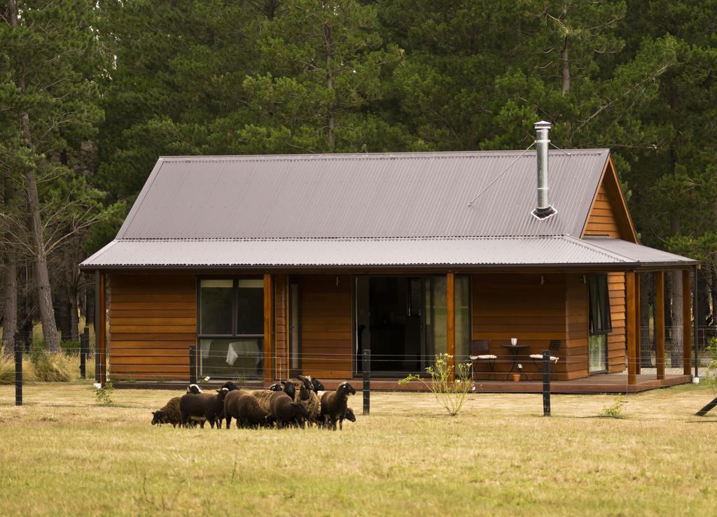 Woodbank Park Cottages Ханмер-Спрингс Номер фото